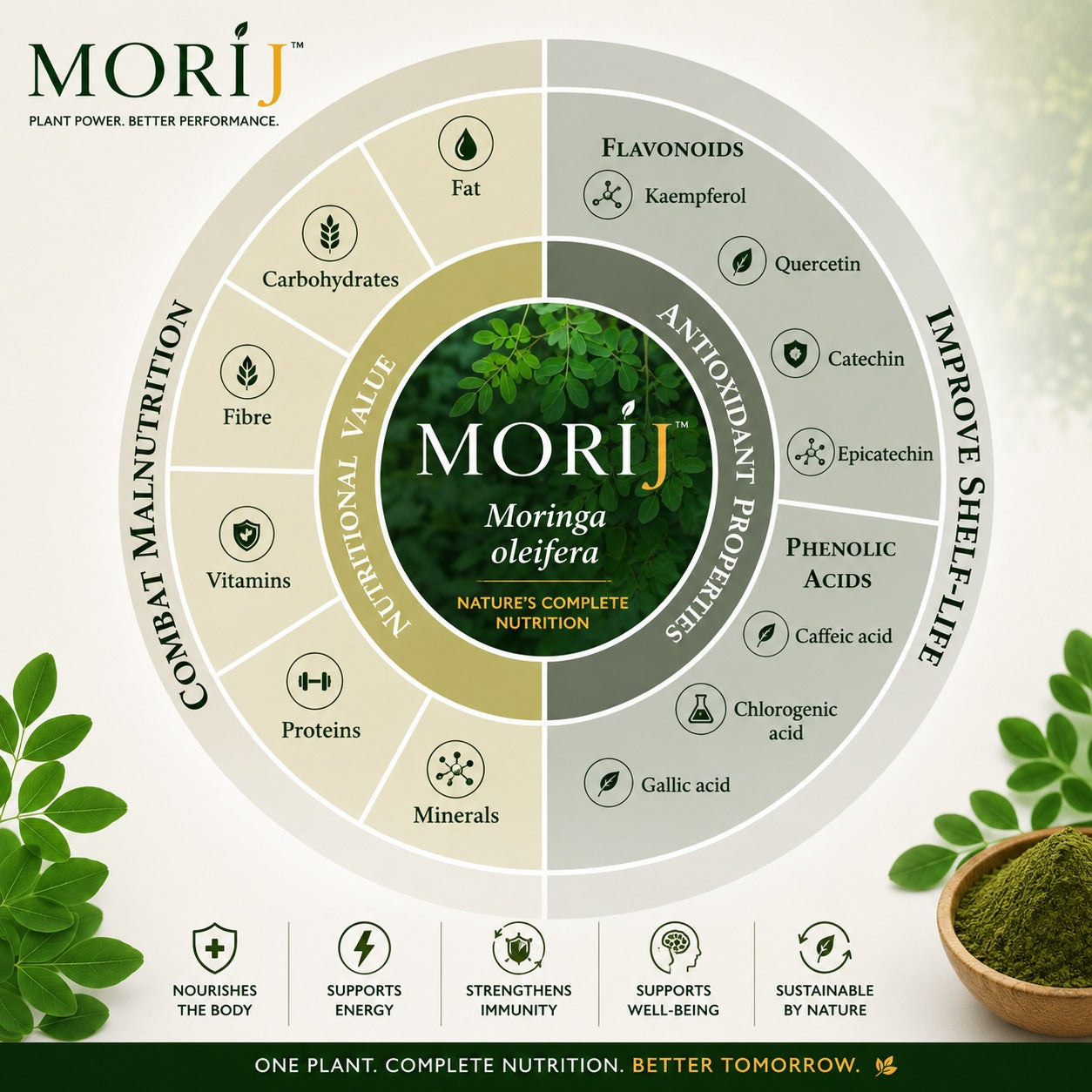 The nutritional value and antioxidant properties of Moringa oleifera: proteins, vitamins, minerals, fibre, flavonoids and phenolic acids